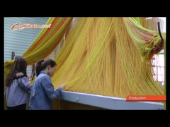 হার্নেস ২