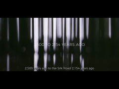 কোম্পানির প্রচার